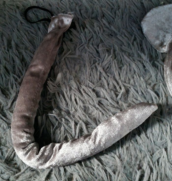 Déguisement de Souris 🐭  mixte - photo numéro 2