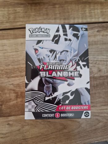Bundle Pokemon Ecarlate & Violet