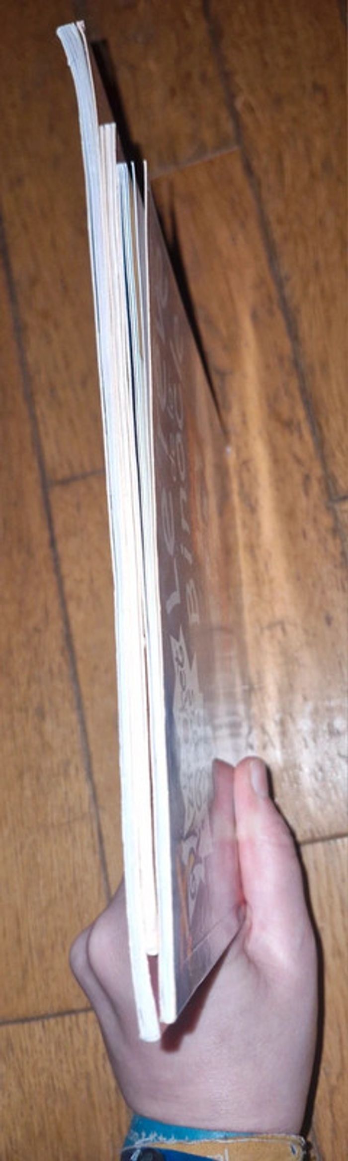 Lot de 3 livres les Razmoket à Paris - photo numéro 3