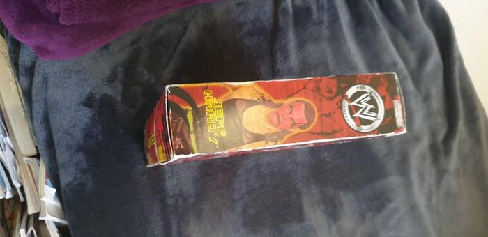 Figurine de catch jeff Hardy/ Matt Hardy Jakks - photo numéro 4