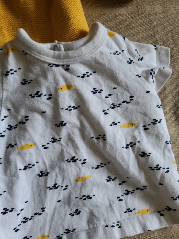 Ensemble 3 pièces orchestra - photo numéro 4