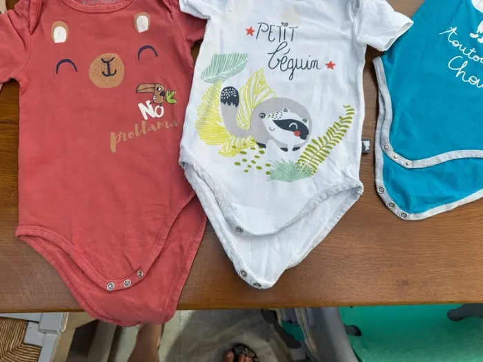 Lot de 9 bodies petit béguin 3 ans - photo numéro 13