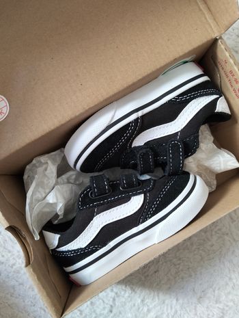 Vans p19