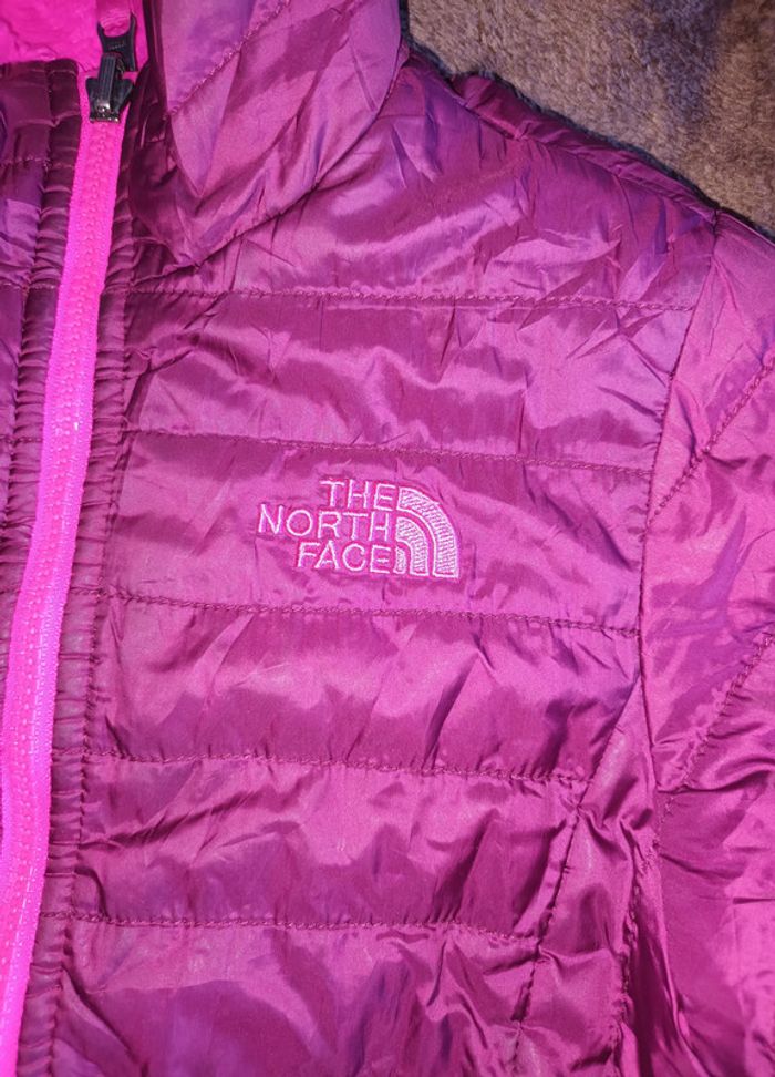Manteau - photo numéro 4