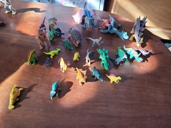lots de petits dinosaures (5e)