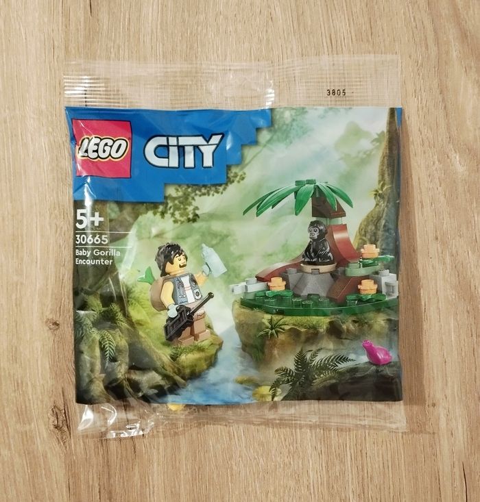 LEGO 30665 La rencontre avec le bébé gorille