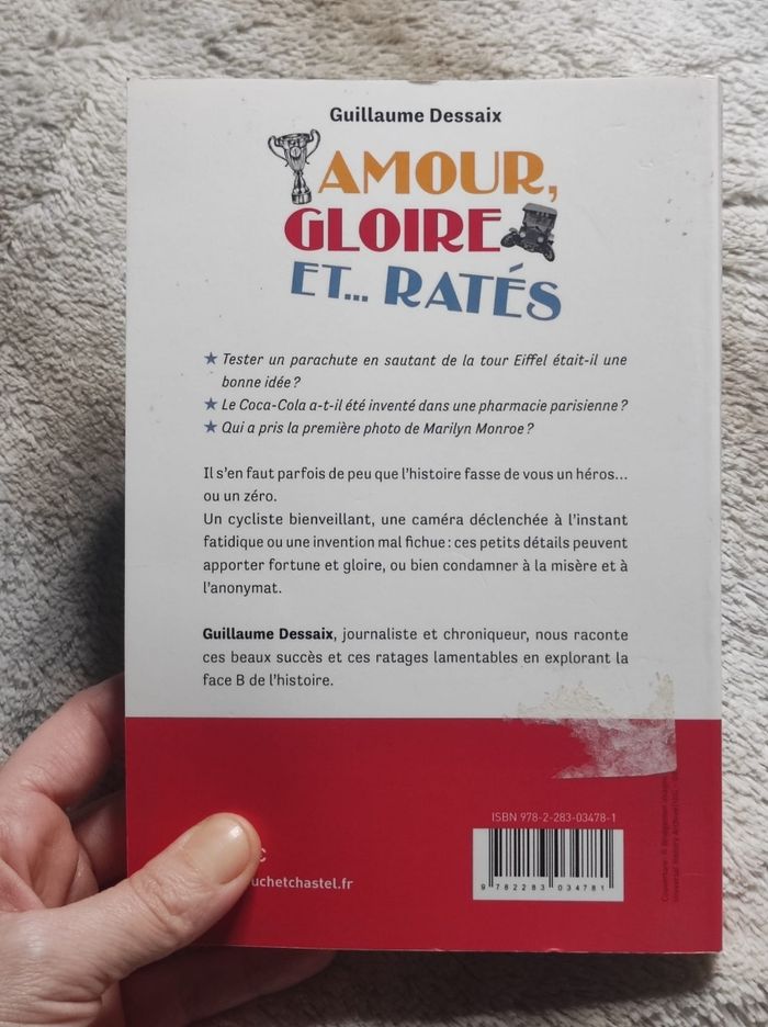 Amour, gloire et ratés de Guillaume dessaix - photo numéro 2