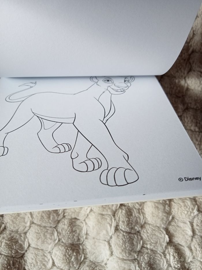 Petit Livre de coloriage le Roi lion - photo numéro 5