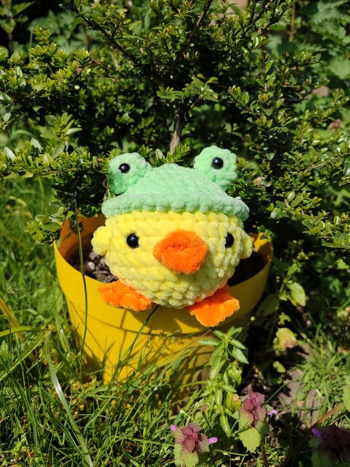 Têtard - Poussin au Chapeau-Grenouille - photo numéro 2