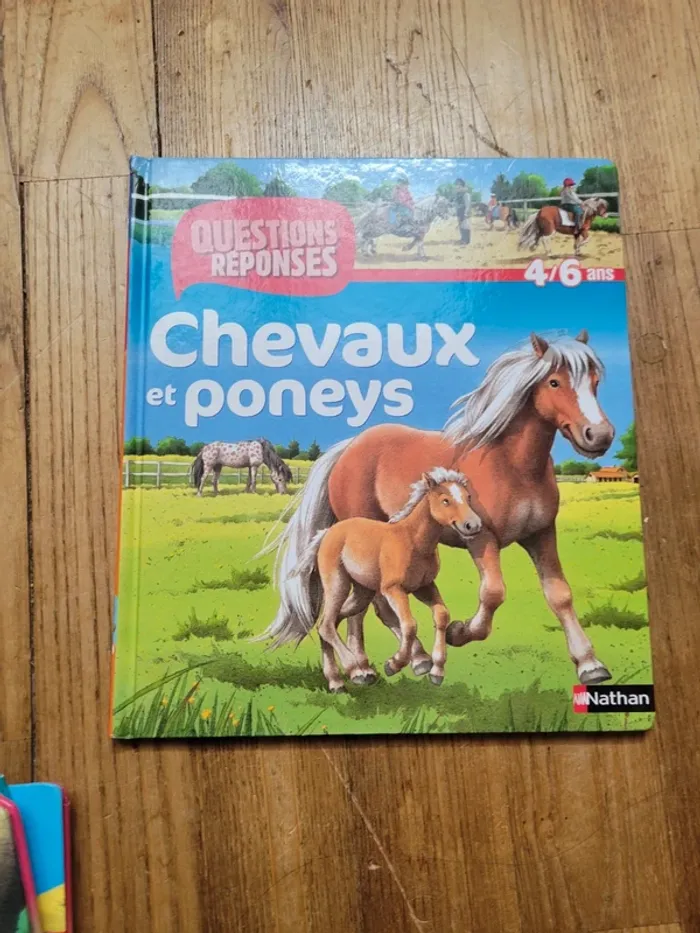Lot 5 livres de la série "questions réponses" - photo numéro 5
