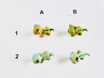 Petshop Iguane - 2€ l’unité