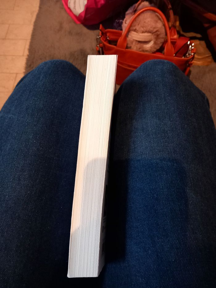 Le profil de l'assassin- Christian Jacq - photo numéro 4