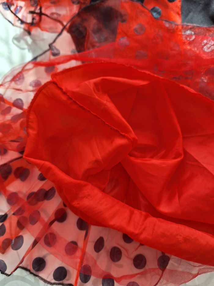 Costume Ladybug - photo numéro 4