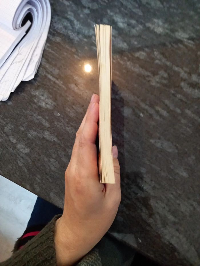 Les jumelles s en melent - photo numéro 2