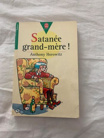 Satanée grand-mère ! Anthony Horowitz
