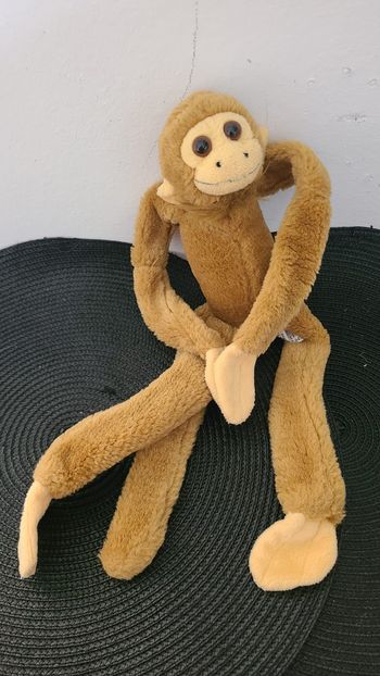 Chimpanzé suspendu - Brun