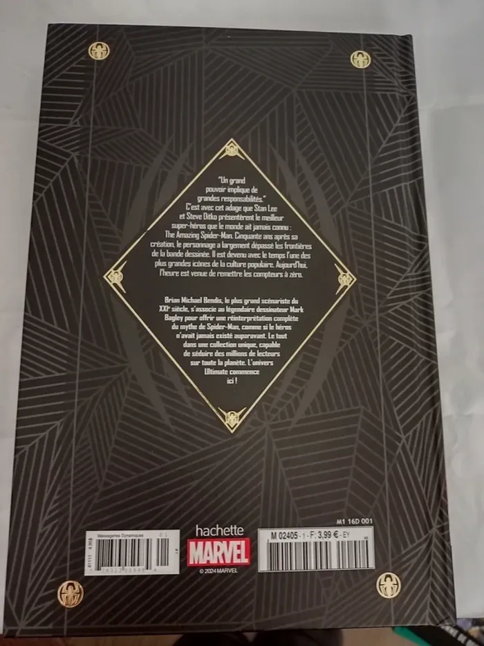 Spider man - photo numéro 2