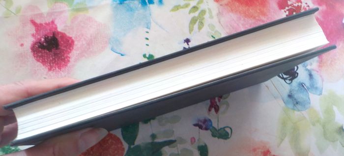 DESCENTE AUX ENFERS de David GOODIS Ed. France Loisirs - photo numéro 3