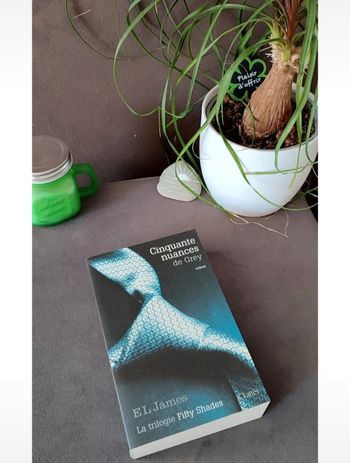 50 nuances de Grey
