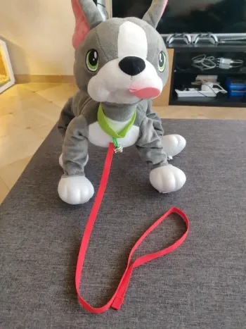 Chien Toufous
