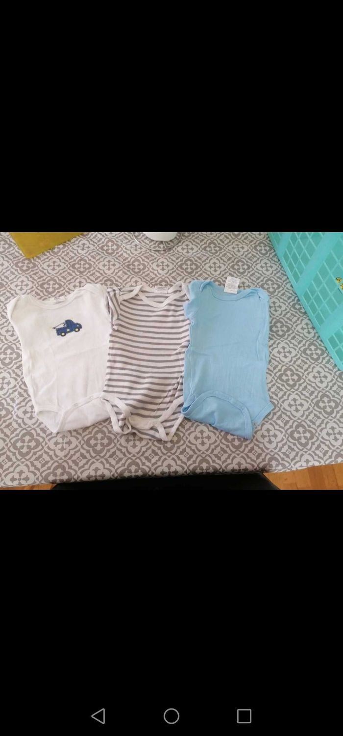 Lot 3 bodies