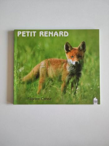 Livre Petit Renard
