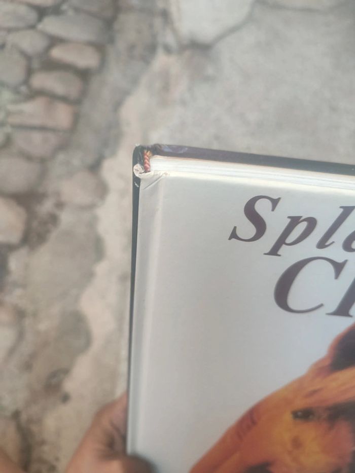 Livre la splendeurs du cheval - photo numéro 5