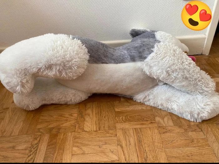 Peluche - photo numéro 4