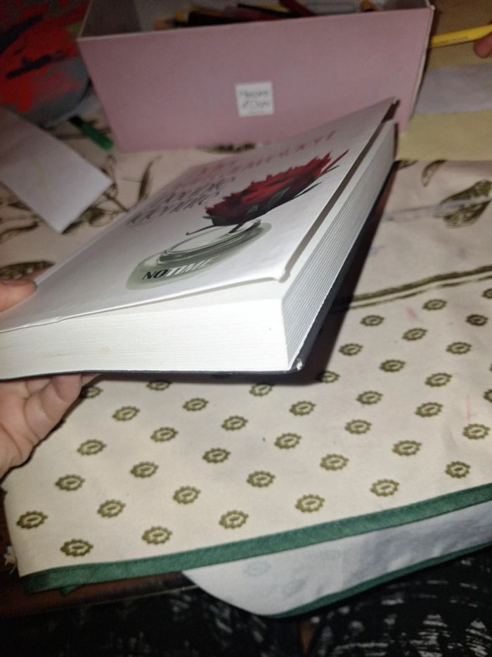 Double identité - photo numéro 3