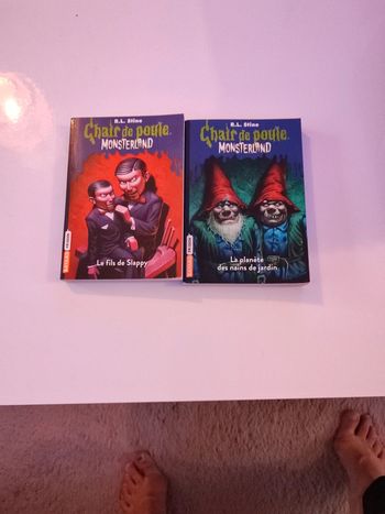 Livre Chair de poule