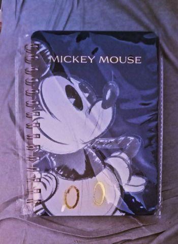 Mickey notebook