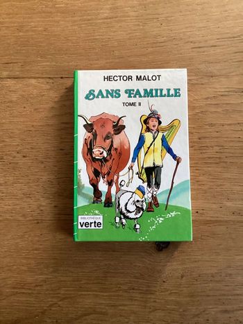 Livre « sans famille tome II »