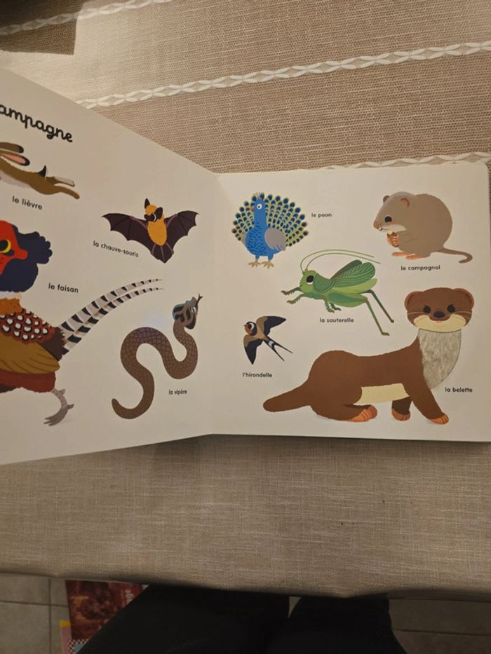 Mon imagier des animaux à toucher, 25 matières 100 animaux, Milan - photo numéro 9