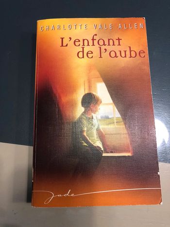 Livre l’enfant de l’aube charlotte vale allen