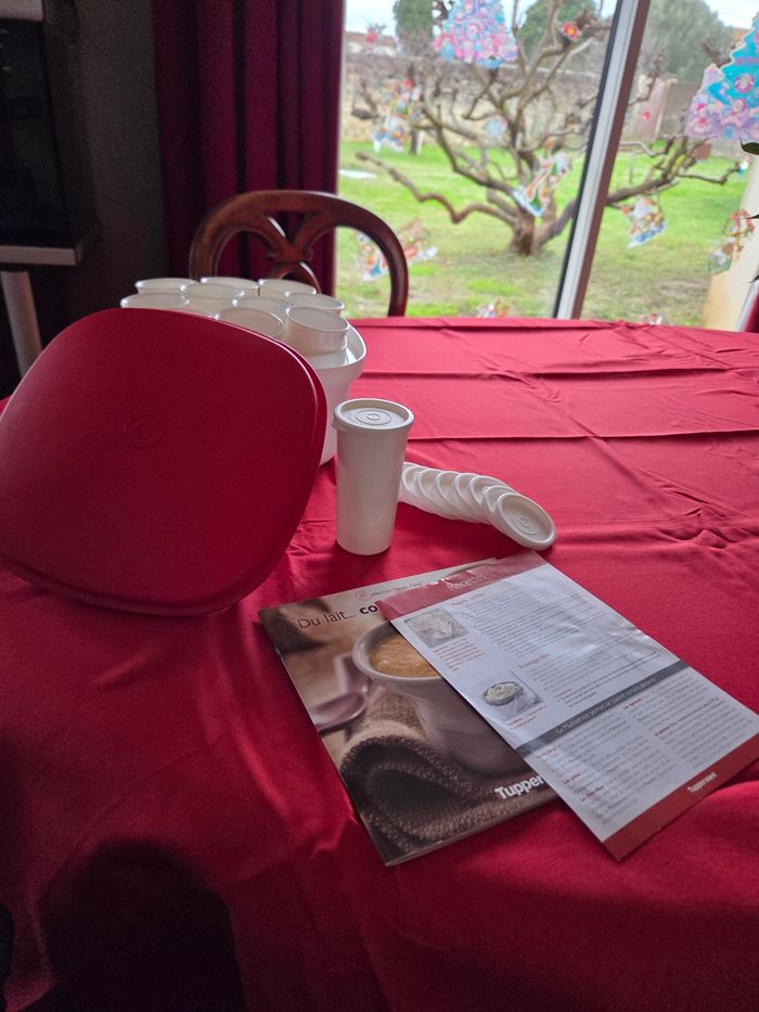 Yaourtière 3L avec livre Tupperware - photo numéro 4