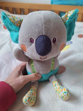 KOALA LILLIPUTIENS PAIRI DAIZA 