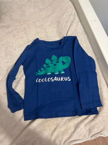 T-shirt coolosaurus