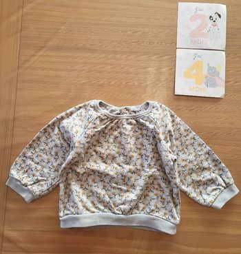 Pull fille fleuri 2 ans