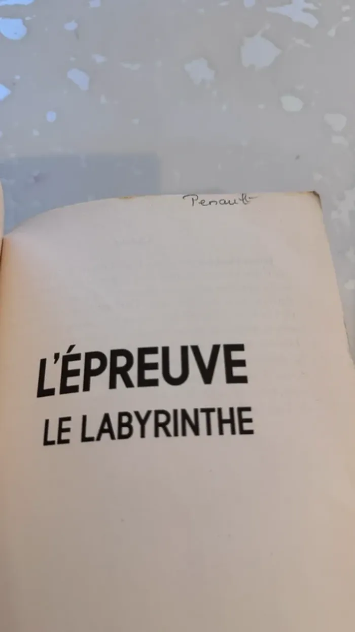 📚 Lot 2 livres – L’Épreuve de James Dashner Tome 1 : Le Labyrinthe Tome 2 : La Terre Brûlée - photo numéro 11