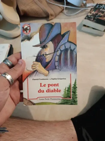 Livre le pont du diable