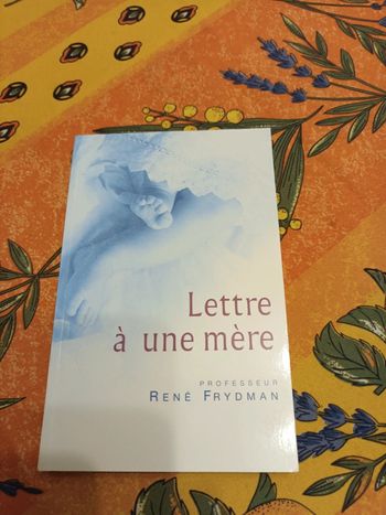 Livre lettre à une mere