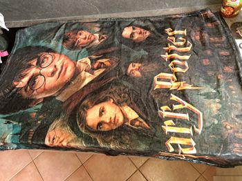 Plaid Harry Potter