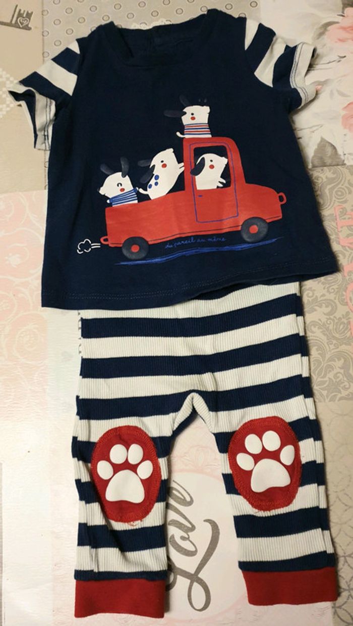 Ensemble petit chien