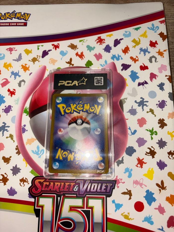 Mentali ex PCA 9,5 - photo numéro 3