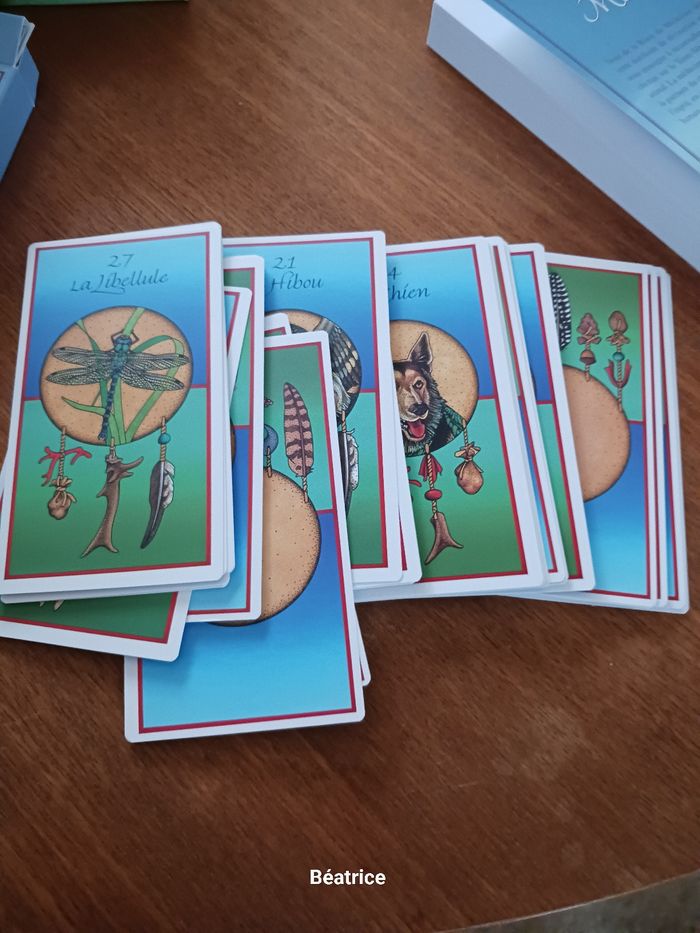 Les cartes medecine - photo numéro 7
