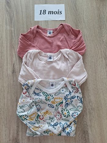 Lot 3 bodies petit bateau 18 mois