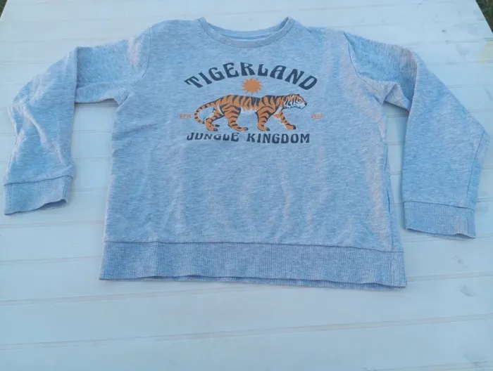 Pull tigre de marque Gémo et de taille 10ans