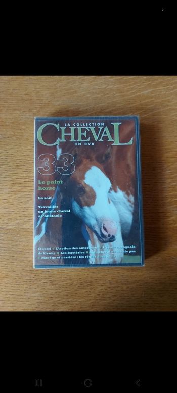 DVD