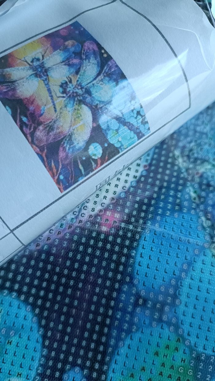 Diamond painting libellule - photo numéro 4