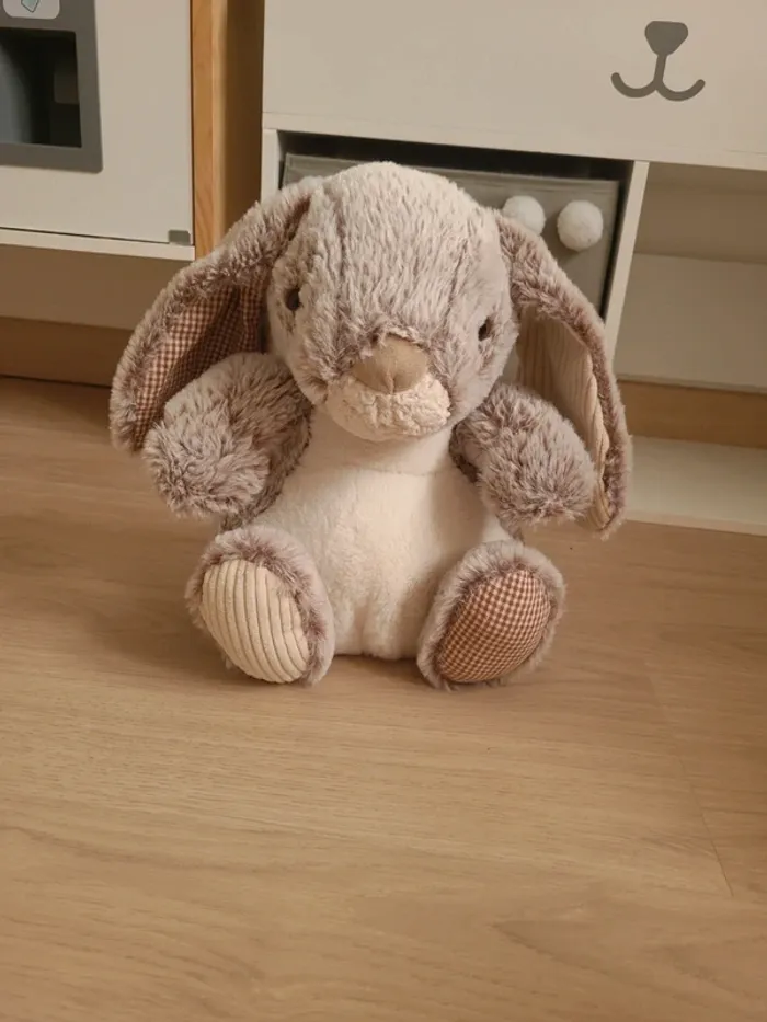 Gros lapin moelleux - photo numéro 3